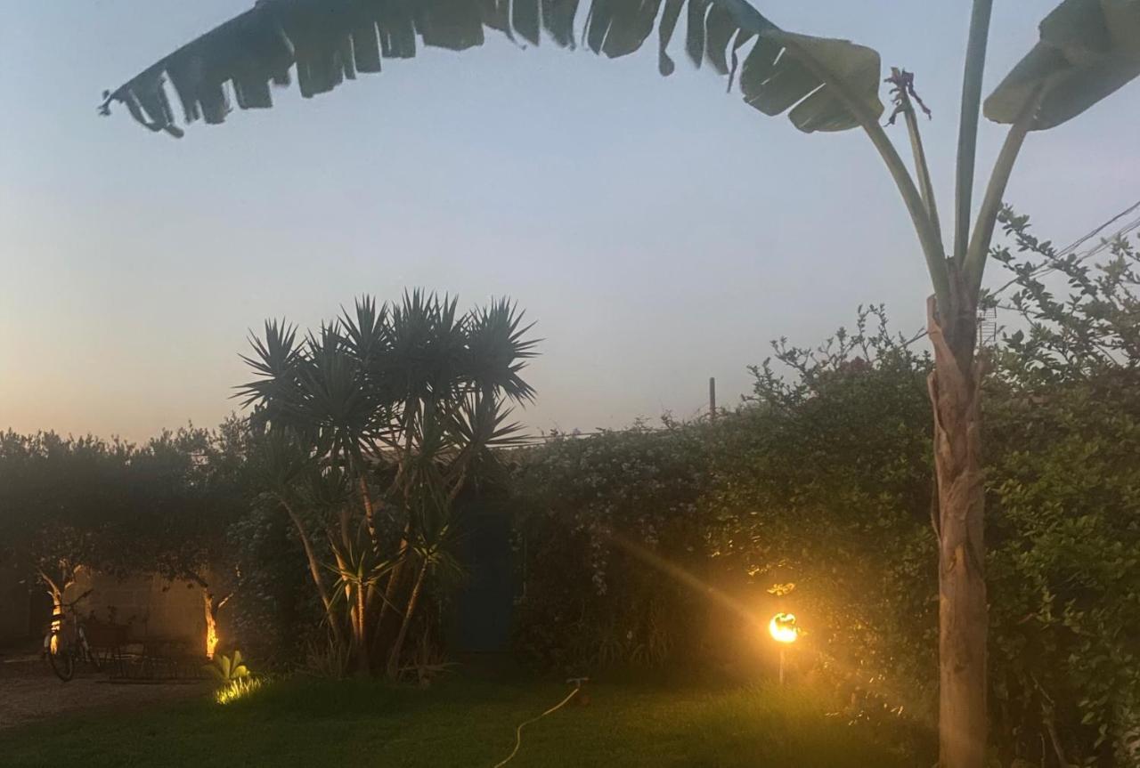 Villa Antonella Boutique Hotel Favignana Eksteriør billede